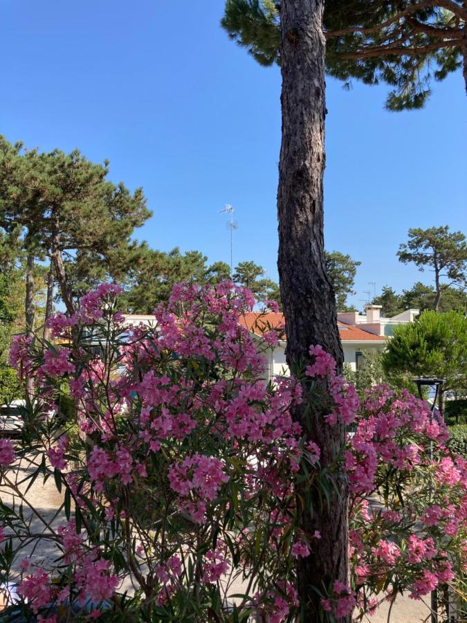 Villa Vittoria Λινιάνο Σαμπιαντόρο Εξωτερικό φωτογραφία